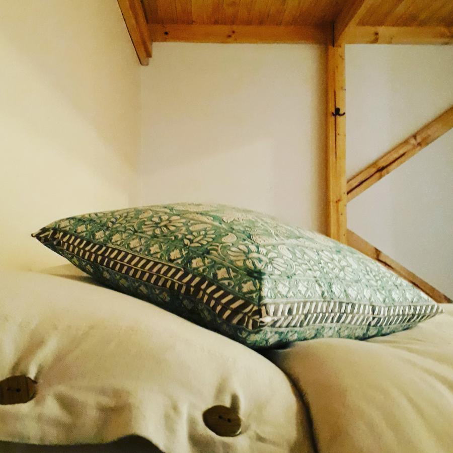 Eco-Hostal Tambo Verde サンティアゴ エクステリア 写真